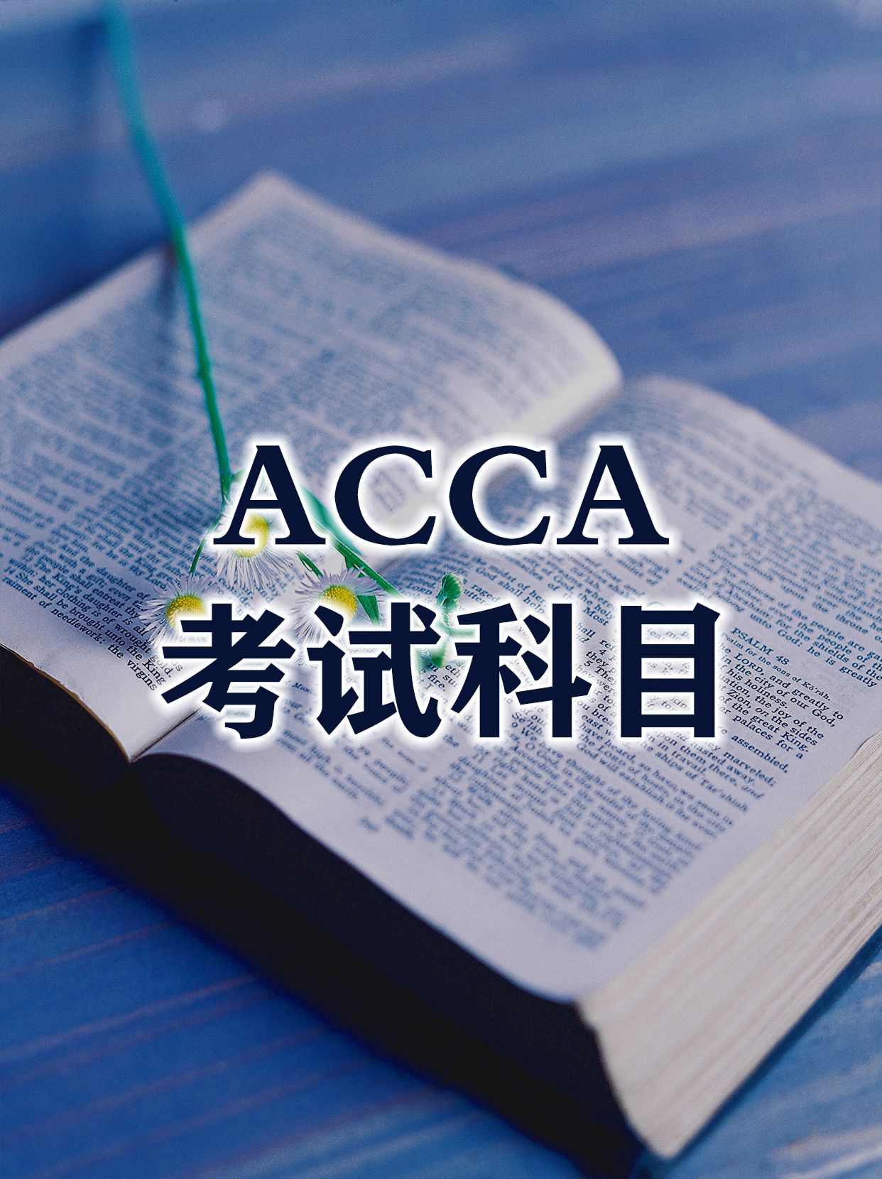 考试科目